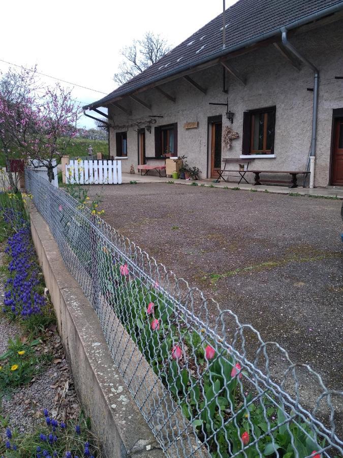 Chez Domi Syl Gite Nature Lejlighed Colonne Eksteriør billede